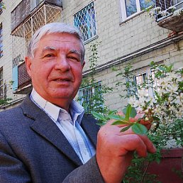 ��������, ���������, 60 ���