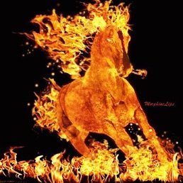 ���, ����������, 41 ���