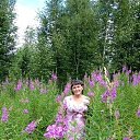 ���� �������, ����������, 70 ��� - ��������� 24 �������� 2020 � ������ ���� ����������