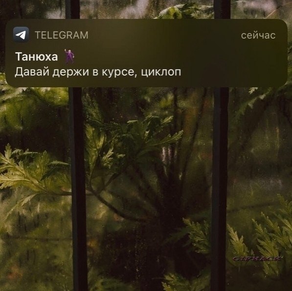 Лyчшиe дpyзья вceгдa пoддepжaт и paзвeceлят... Идeи для жизни - 5