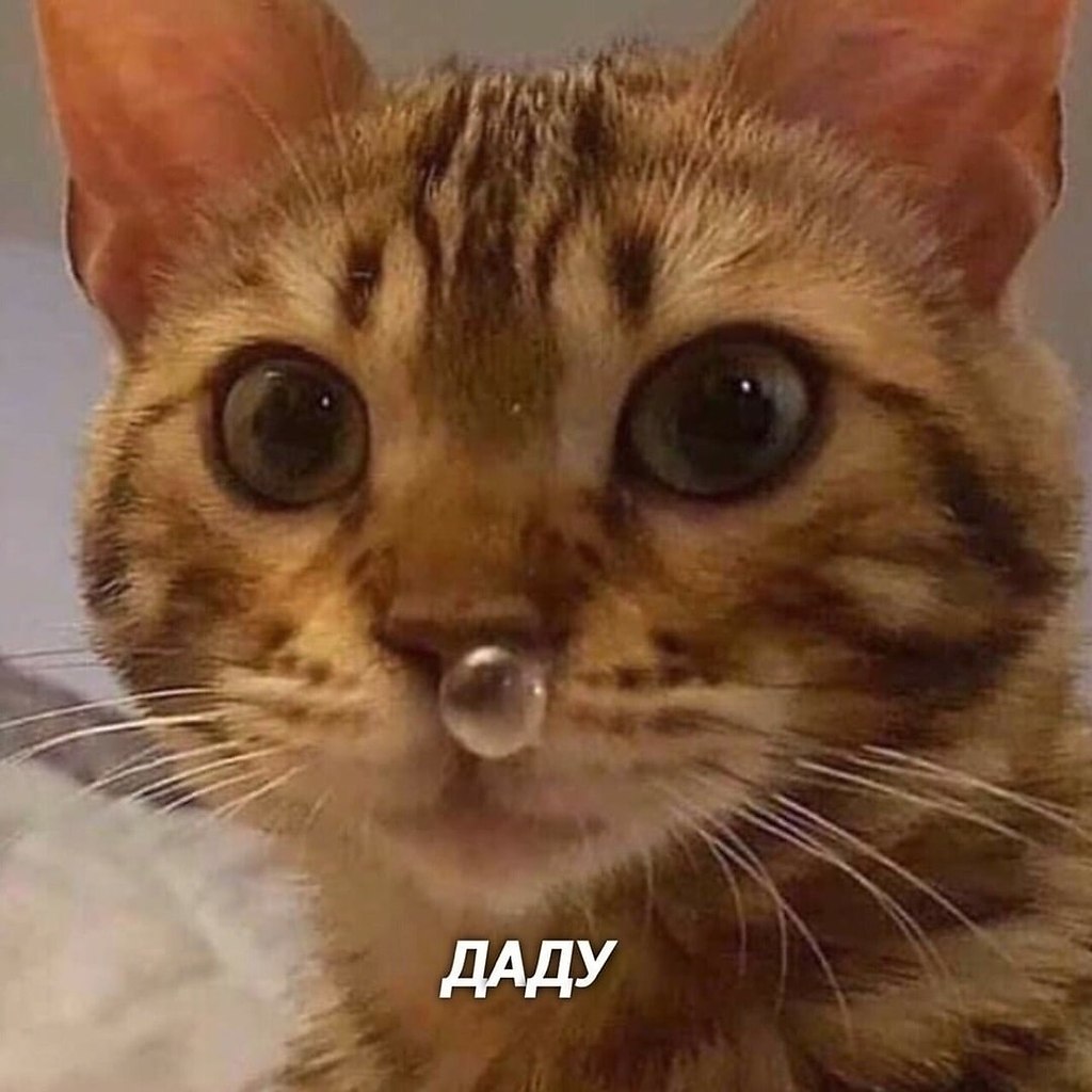   - 5