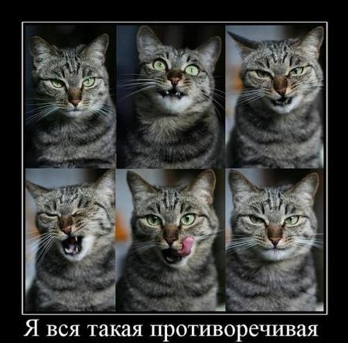    - 8  2021  21:46