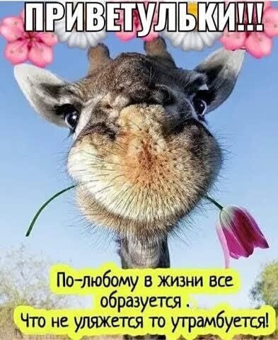 ***Victoria Viktorovna*** - 28  2021  04:47