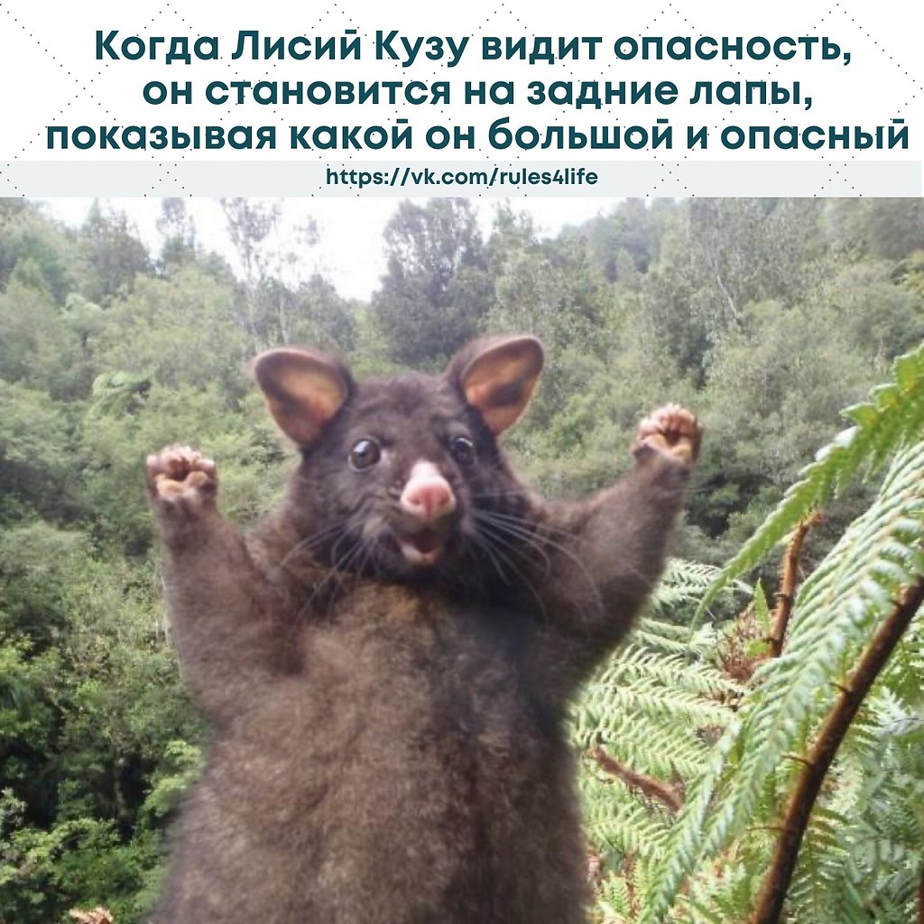    ,   ,       
