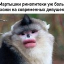 ���� �������, �������, 65 ��� - ��������� 4 ������� 2020 � ������ ������ ��������