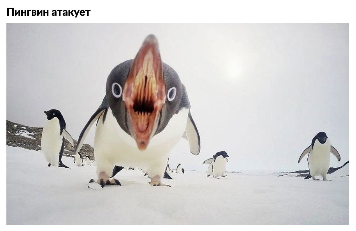  ,    - 4