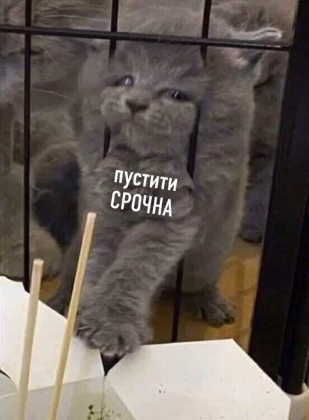 Когда сидишь на диете, но тут на горизонте замаячила твоя любимая еда - 2