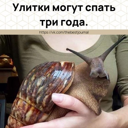      .     -    ...