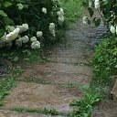 ���� �����, �����-���������, 58 ��� - ��������� 26 �������� 2020 � ������ ����� ��� ��������� �����))) 2020�