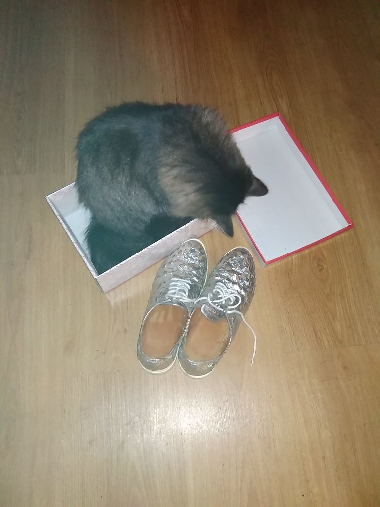     ))) ,  ))