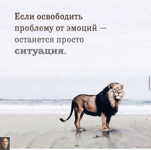 Возьмите одну идею. Сделайте эту идею центром своей жизни – думайте об этом, мечтайте об этом, ...