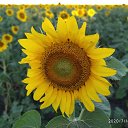 ���� Leonid, ������, 48 ��� - ��������� 5 ������ 2021 � ������ ���� ����������