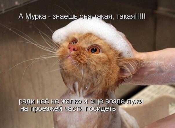    - 13  2021  22:21