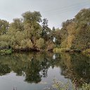  , , 62  -  8  2020    