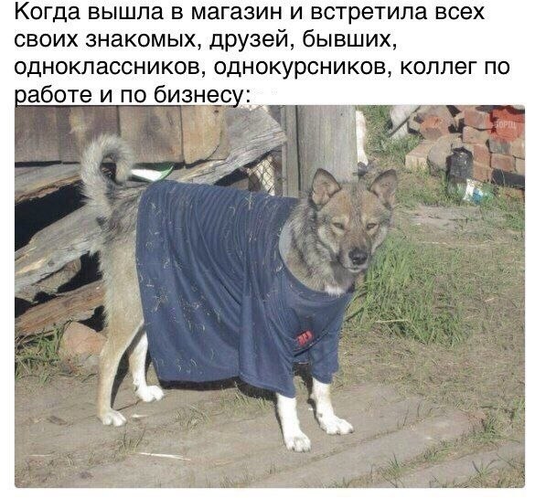    ,   :