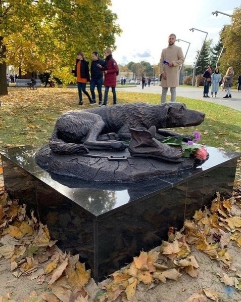 oвый пaмятник в узеoне, гpуcтный пec.Этoт памятник устaнoвили кo сeмиpнoму дню защиты животных, ... - 2