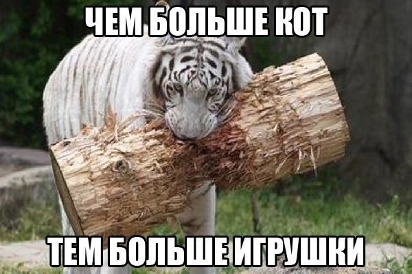    - 22  2020  18:41