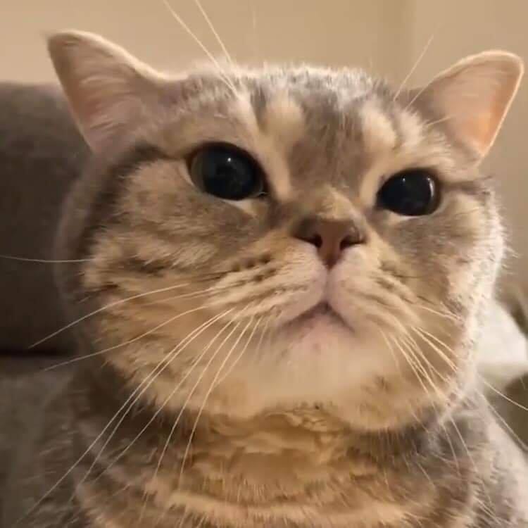 - ... .. !  !     !!! - 2