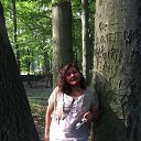 ���� ��������, ����������� - ��������� 26 ������� 2020 � ������ ���� ����������