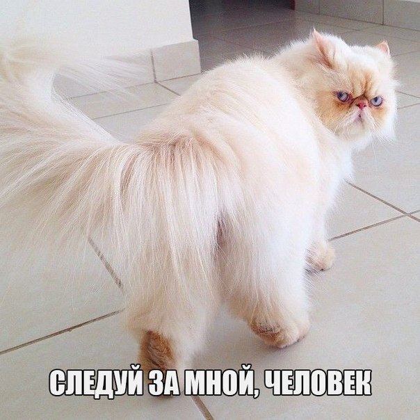    - 24  2020  20:39