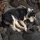 ���� �����, �������, 45 ��� - ��������� 6 ������ 2021 � ������ ���� ����������