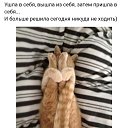 ���� �����, ������ �������� - ��������� 9 ����� 2021 � ������ ������ ��������