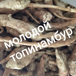 ���� ����, ������, 36 ��� - ��������� 4 ������� 2020