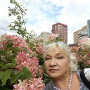 ���� �������, ������, 69 ��� - ��������� 9 ������ 2020 � ������ ���� ����������