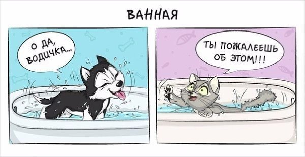 10 комиксов о том, как отличается жизнь с кошкой от жизни с собакой. - 7