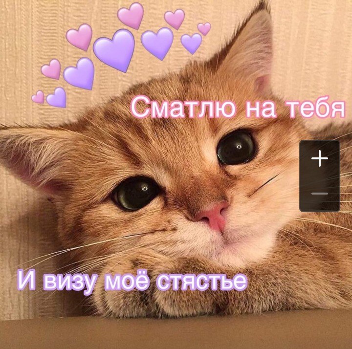 Анжелика - 19 августа 2020 в 19:07