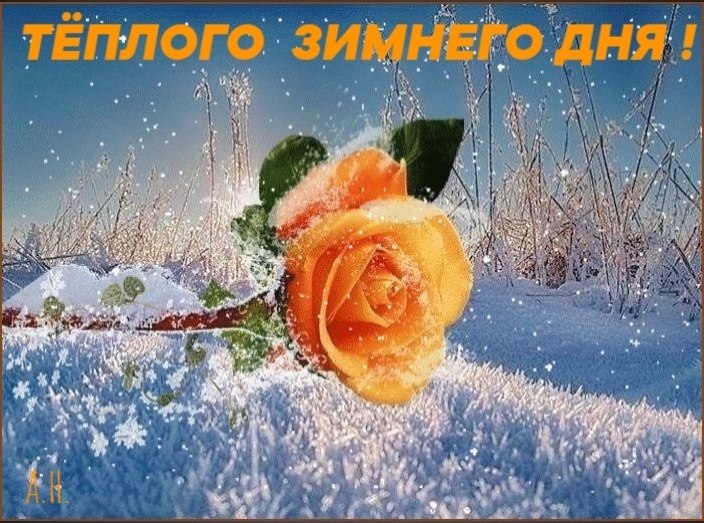   ,    . - 15  2020  01:39 - 3