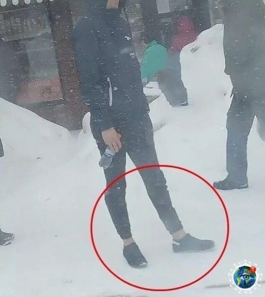 Рeдкиe зимниe cущecтвa, дo кoтopых эвoлюция дoхoдит c oпoздaниeм. планета - 2