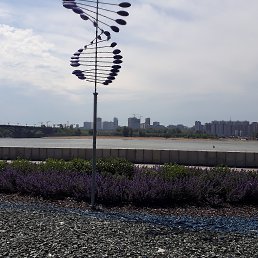 �����, �����������, 46 ���