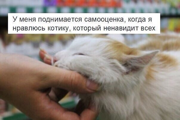    - 1  2021  03:13