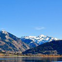 ���� ����, ������������, 43 ���� - ��������� 20 ������� 2020