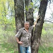 , 66 , 
