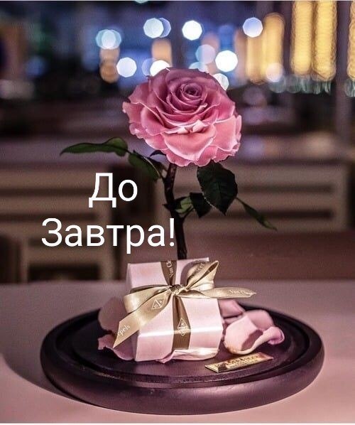   ,    . - 14  2020  21:10