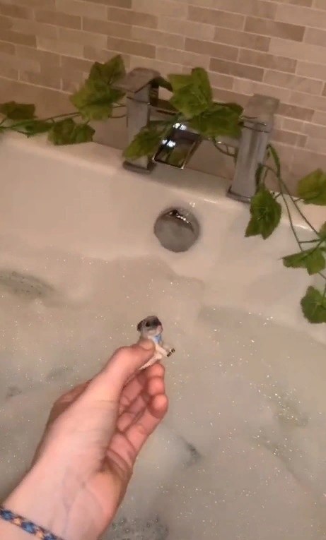     ,       .      ... - 5
