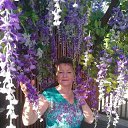 ���� �������, �������� - ��������� 2 ������ 2020 � ������ ���� ����������