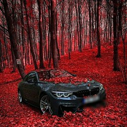 ���� ��������, �������, 27 ��� - ��������� 11 �������� 2020