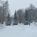 ���� ������, ������ - ��������� 19 ������� 2021 � ������ ���������. ����.�