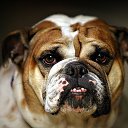 ���� ������, ������������ - ��������� 24 �������� 2020 � ������ ���� � ���