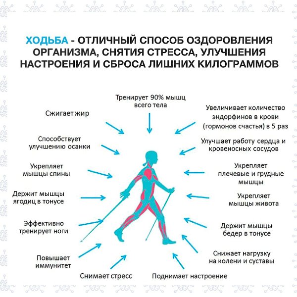 Прогулки на свежем воздухе должны проводиться регулярно, желательно ежедневно, в нежаркое время ...