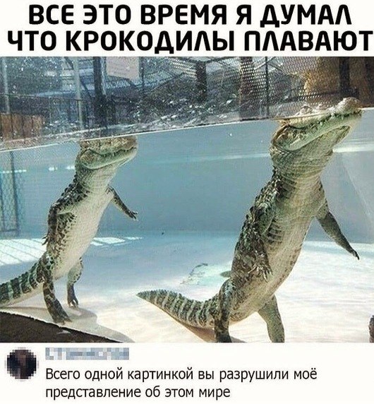 LIFE -  - 28  2020  20:11