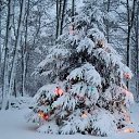  Sergey,   -  6  2021    