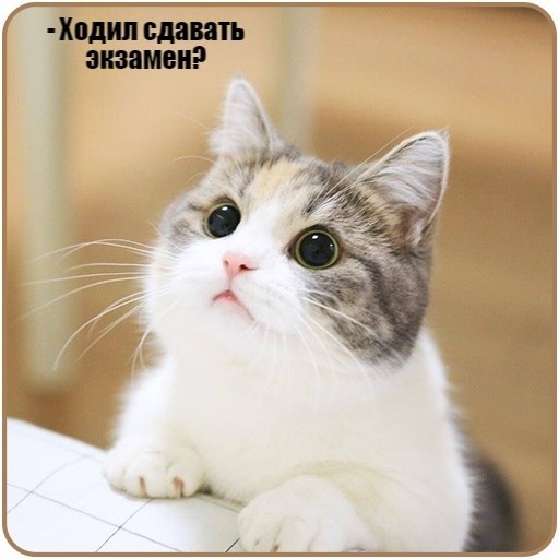       - 24  2021  21:10