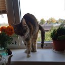 ���� Anna, ���� - ��������� 24 ������ 2020