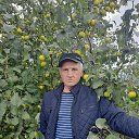 ���� ������, ������, 63 ���� - ��������� 10 ������� 2020 � ������ ���� ����������