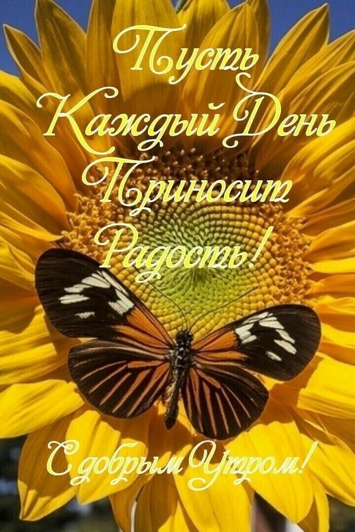 ***Victoria Viktorovna*** - 6  2020  03:09