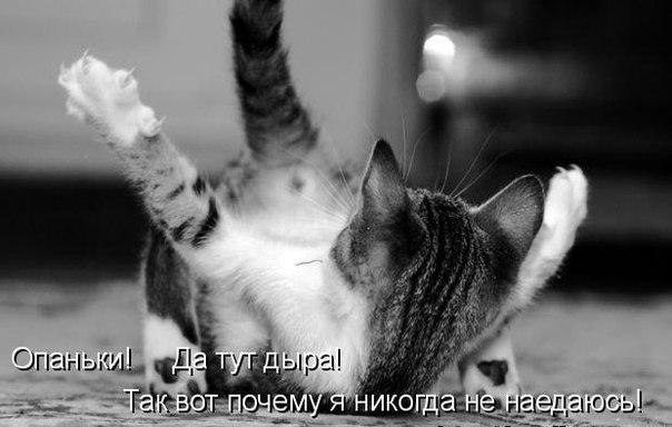    - 8  2021  11:35